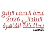 نتيجة الصف الرابع الابتدائي في القاهرة متاحة خلال ساعات بالرقم القومي