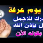 دعاء يوم عرفة للأبناء النجاح والتوفيق وصلاح الأحوال