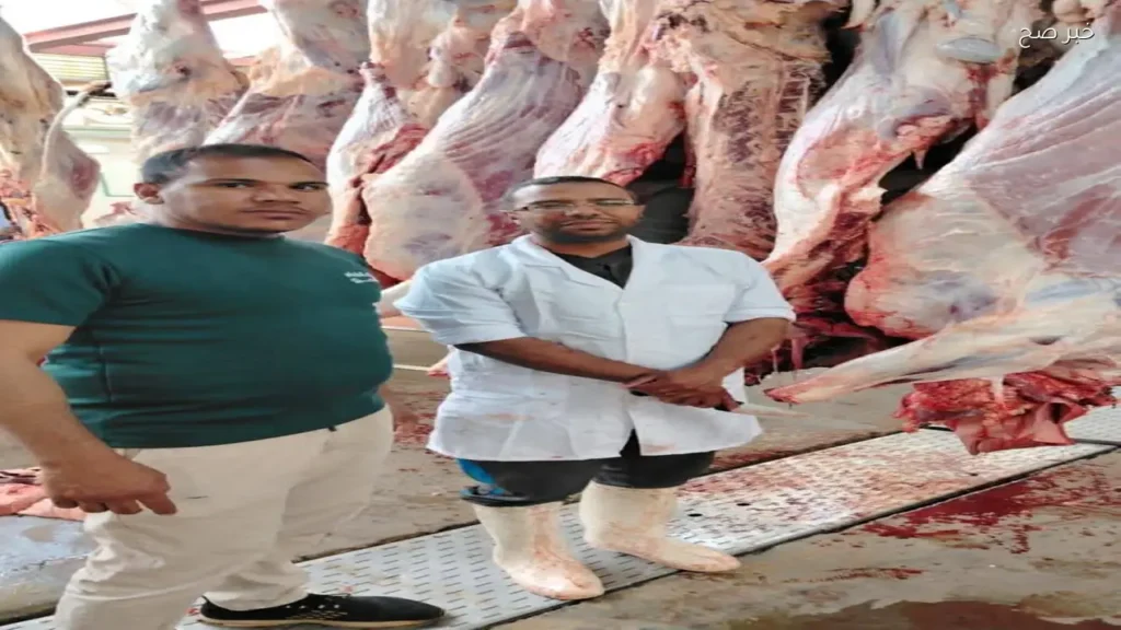 1281 أضحية تم ذبحها في مجازر أسوان خلال عيد الأضحى