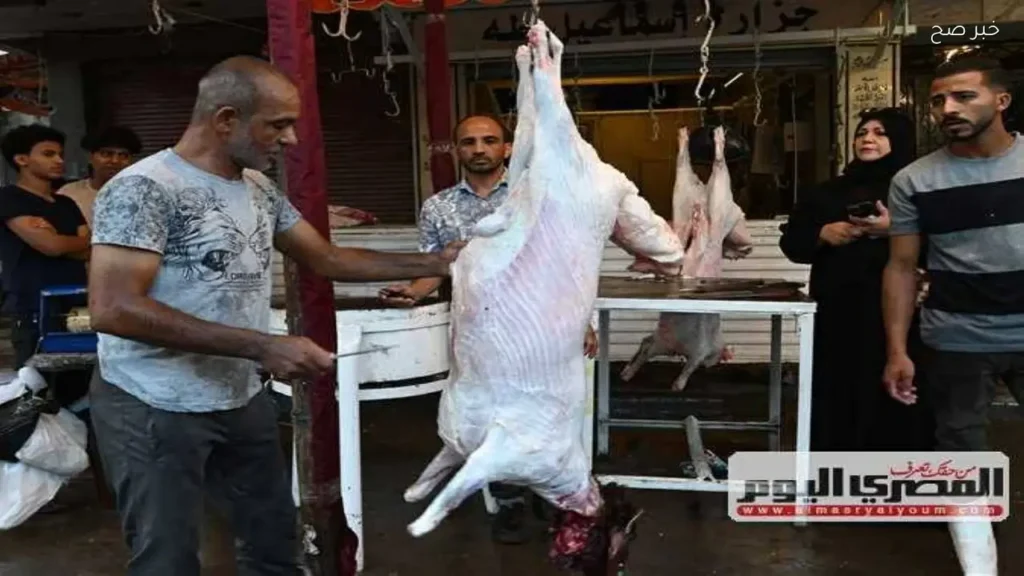 4300 أضحية ذُبحت في المجازر الحكومية بالجيزة خلال عيد الأضحى
