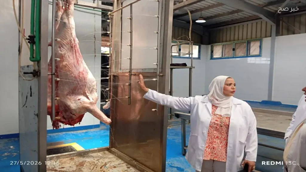 550 أضحية تُذبح مجانًا في المجازر الحكومية بالغربية أول أيام عيد الأضحى
