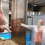 550 أضحية تُذبح مجانًا في المجازر الحكومية بالغربية أول أيام عيد الأضحى