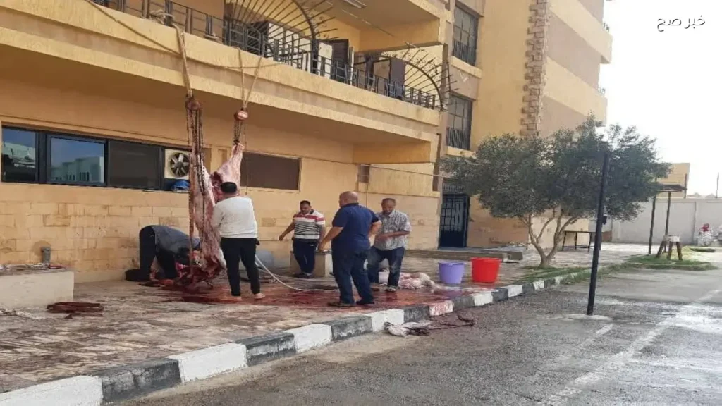 محافظ بورسعيد يهدي عجل أضحية لعمال اليومية بالجامعة