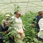 رئيس مركز البحوث الزراعية يتفقد المحطات البحثية بكفر الشيخ خلال عيد الأضحى