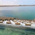 مصر تدعم أوغندا في مواجهة الأزمات المائية منذ إنشاء خزان أوين