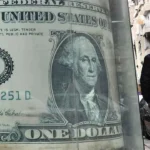 استقرار سعر الدولار أمام الجنيه المصري في البنوك اليوم