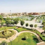 ردود فعل متباينة حول واقعة مربية الأطفال في نادي هليوبوليس