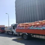 استلام 76.5 ألف طن قمح محلي في الإسكندرية منذ بداية الموسم