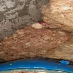 ضبط 160 كيلو دجاج فاسد في مطعم شهير بمطوبس