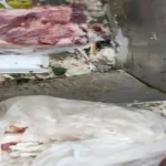 ضبط 170 كيلو لحوم مفرومة فاسدة في السويس