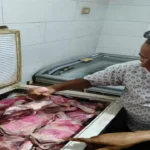 ضبط 6 أطنان من هياكل دواجن ولحوم فاسدة في الجيزة