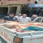 محافظة الجيزة تضبط 10 أطنان من اللحوم غير الصالحة للاستهلاك