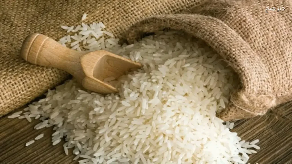 استقرار أسعار الأرز والشعير اليوم في الأسواق المصرية