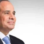 السيسي يوجه بزيادة الاستثمارات في قطاع الطاقة المتجددة