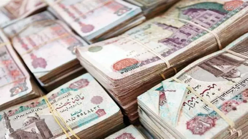 موعد تطبيق الزيادة الجديدة للمعاشات في يونيو 2026