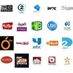 تردد قناة ثمانية الناقلة لمباراة النصر وضمك في الدوري السعودي