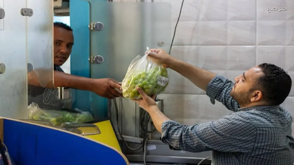 تحليل 1500 عينة لمتبقيات المبيدات خلال عيد الأضحى