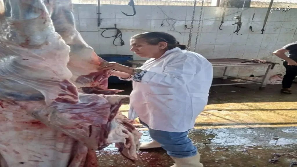 ذبح 458 رأس ماشية في مجازر الإسكندرية خلال عيد الأضحى