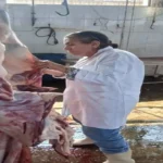 ذبح 458 رأس ماشية في مجازر الإسكندرية خلال عيد الأضحى