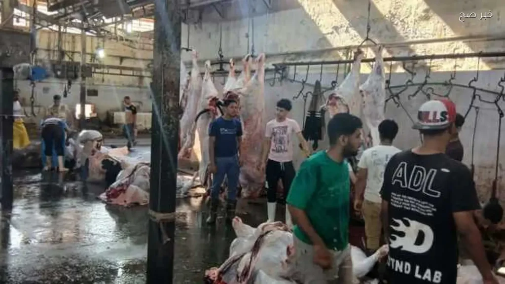 محافظ الجيزة: ذبح 4300 أضحية بالمجازر الحكومية خلال عيد الأضحى