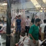 محافظ الجيزة: ذبح 4300 أضحية بالمجازر الحكومية خلال عيد الأضحى