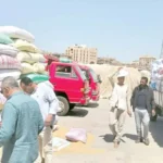 محافظات مصر تحقق إنتاجية قياسية من القمح هذا العام