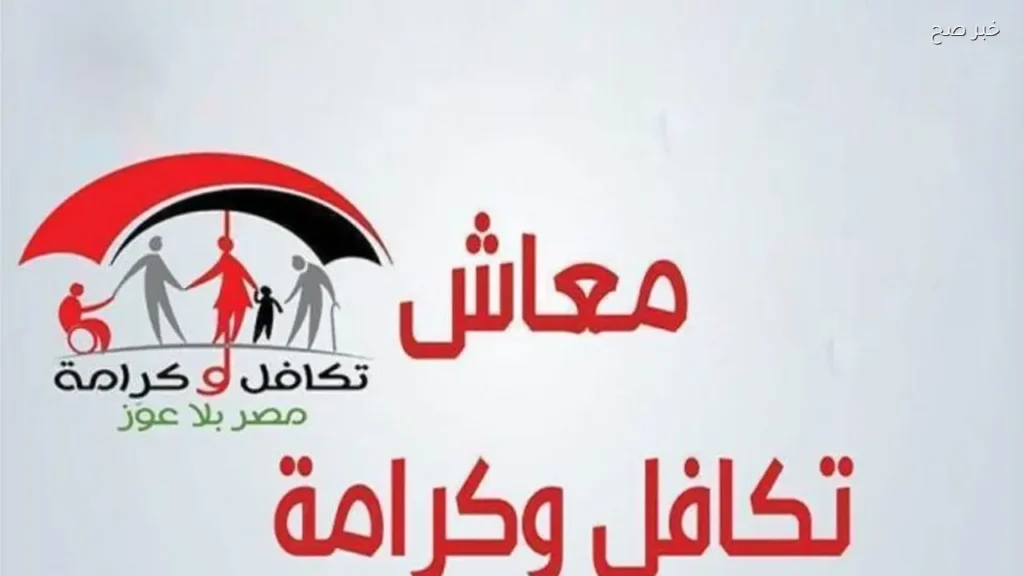 محكمة النقض تؤكد عدم جواز الجمع بين معاشين في حالات محددة