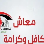 محكمة النقض تؤكد عدم جواز الجمع بين معاشين في حالات محددة