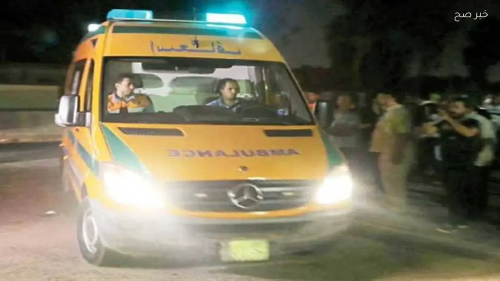 مصرع رجل طعنًا خلال مشاجرة في الوادي الجديد