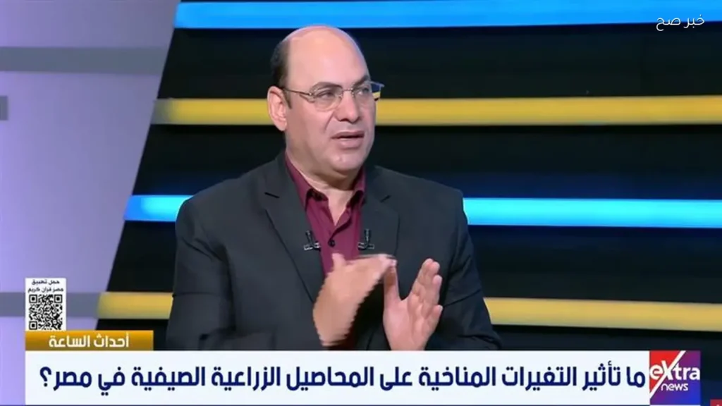 تأخر موسم المانجو في مصر بسبب التقلبات الجوية