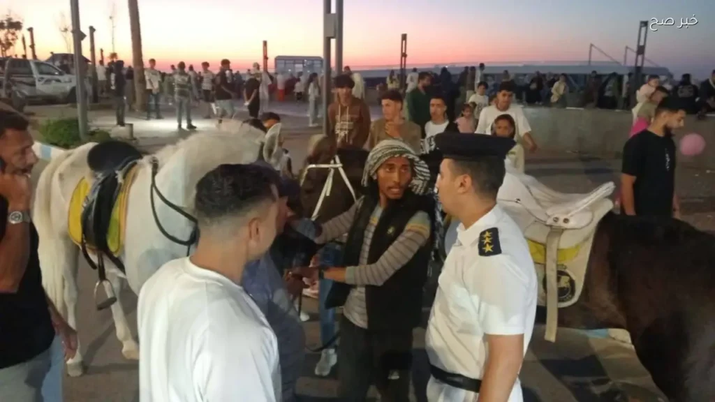 حملة لضبط الخيول والدراجات في كورنيش مطروح لحماية المواطنين