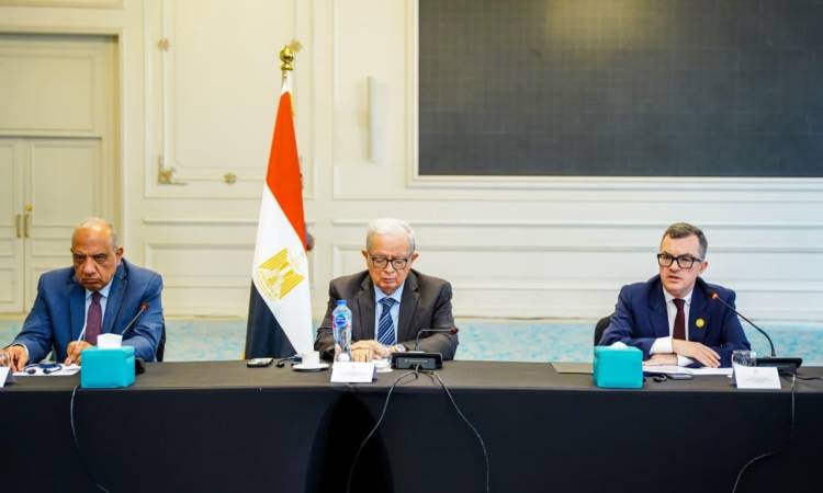نائب رئيس الوزراء