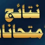 نتيجة الصف الرابع الابتدائي بالقاهرة 2026 متاحة الآن إلكترونيًا
