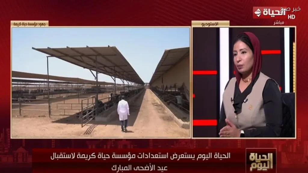 استراتيجية «حياة كريمة» لتوزيع اللحوم قبل عيد الأضحى
