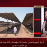 استراتيجية «حياة كريمة» لتوزيع اللحوم قبل عيد الأضحى