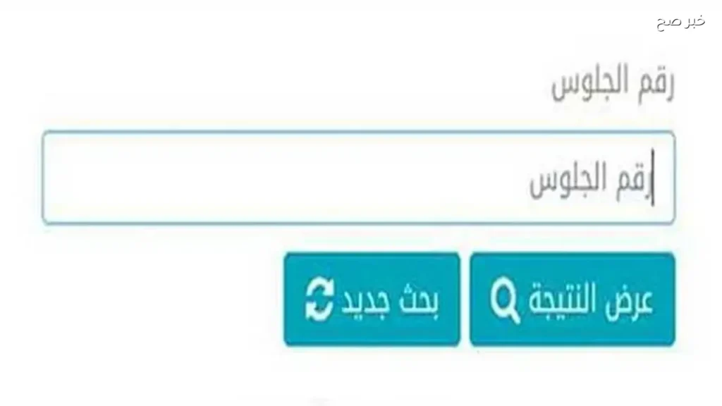 نتيجة الابتدائية 2026 في القاهرة متاحة الآن عبر بوابة التعليم الأساسي
