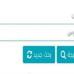 نتيجة الابتدائية 2026 في القاهرة متاحة الآن عبر بوابة التعليم الأساسي