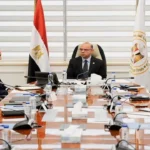وزير الاستثمار يناقش فرص التوسع مع DPI مصر وEgypt Ventures