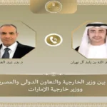 وزير الخارجية المصري والإماراتي يناقشان العلاقات الثنائية والأوضاع الإقليمية