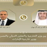 وزير الخارجية المصري يتواصل مع نظيره الإماراتي لمناقشة العلاقات والتطورات الإقليمية