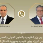 وزير الخارجية المصري يبحث خفض التصعيد الإقليمي مع نظيره الباكستاني