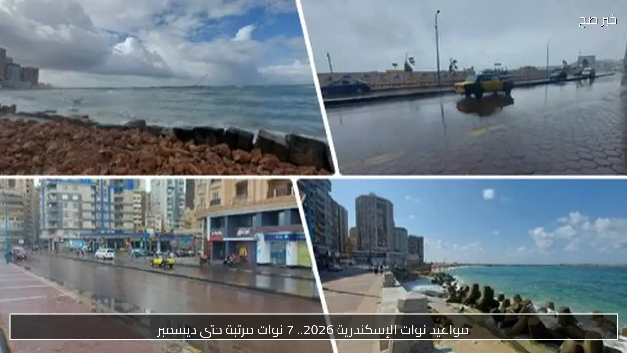 مواعيد نوات الإسكندرية 2026.. 7 نوات مرتبة حتى ديسمبر