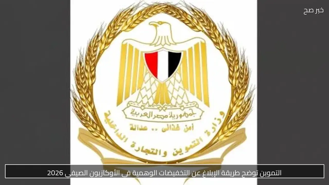 التموين توضح طريقة الإبلاغ عن التخفيضات الوهمية في الأوكازيون الصيفي 2026