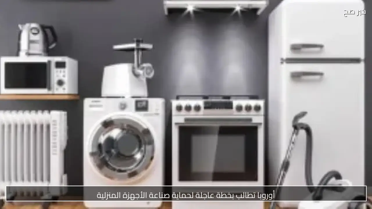 أوروبا تطالب بخطة عاجلة لحماية صناعة الأجهزة المنزلية