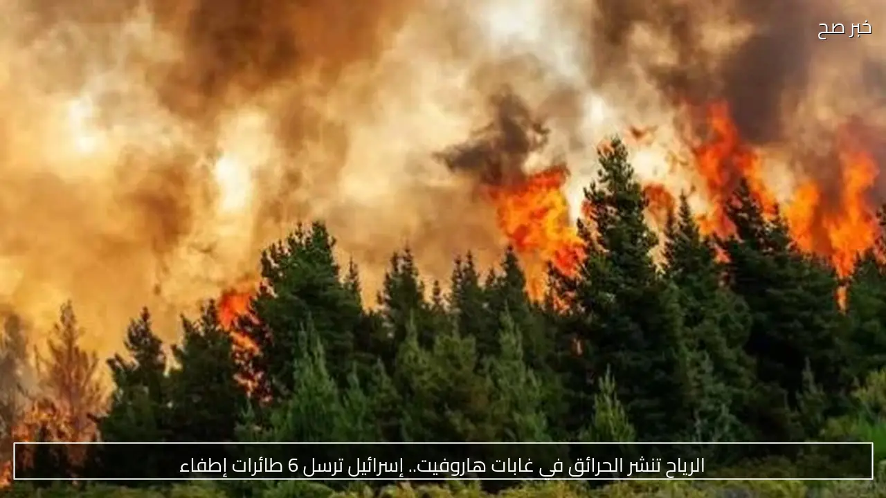 الرياح تنشر الحرائق في غابات هاروفيت.. إسرائيل ترسل 6 طائرات إطفاء
