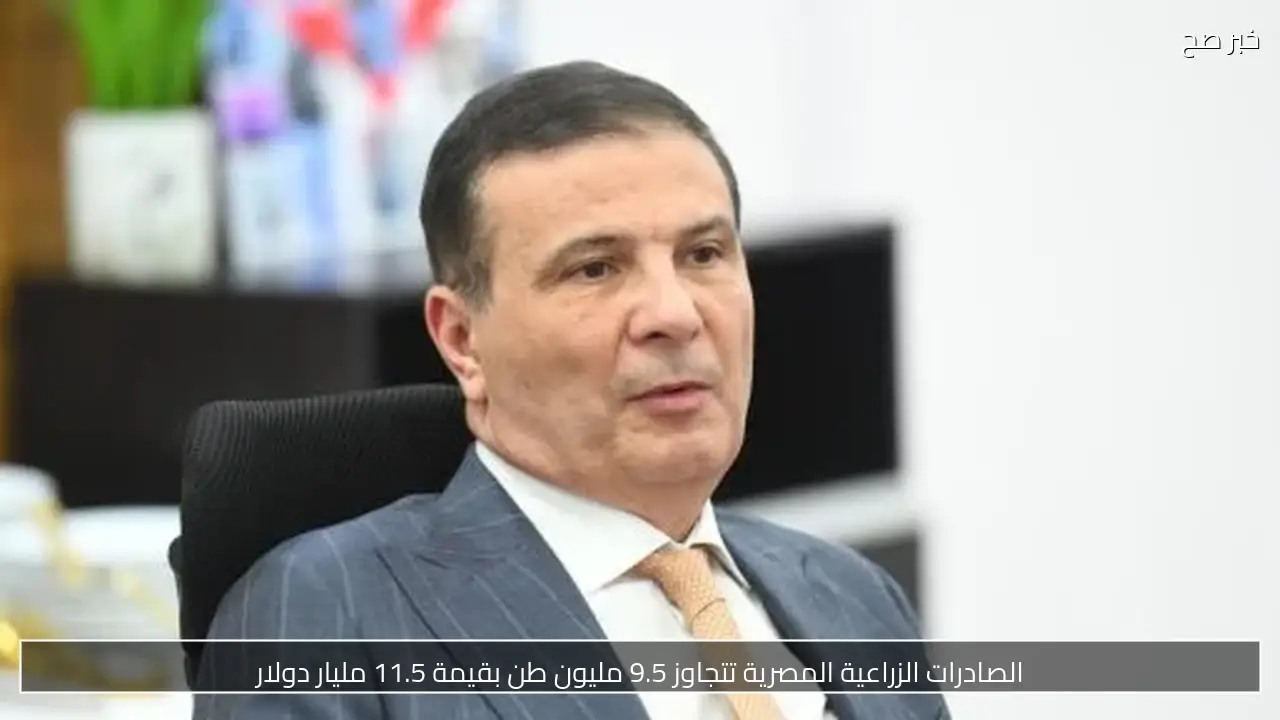 الصادرات الزراعية المصرية تتجاوز 9.5 مليون طن بقيمة 11.5 مليار دولار