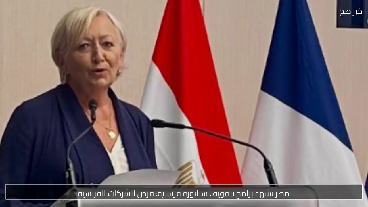 مصر تشهد برامج تنموية.. سناتورة فرنسية: فرص للشركات الفرنسية