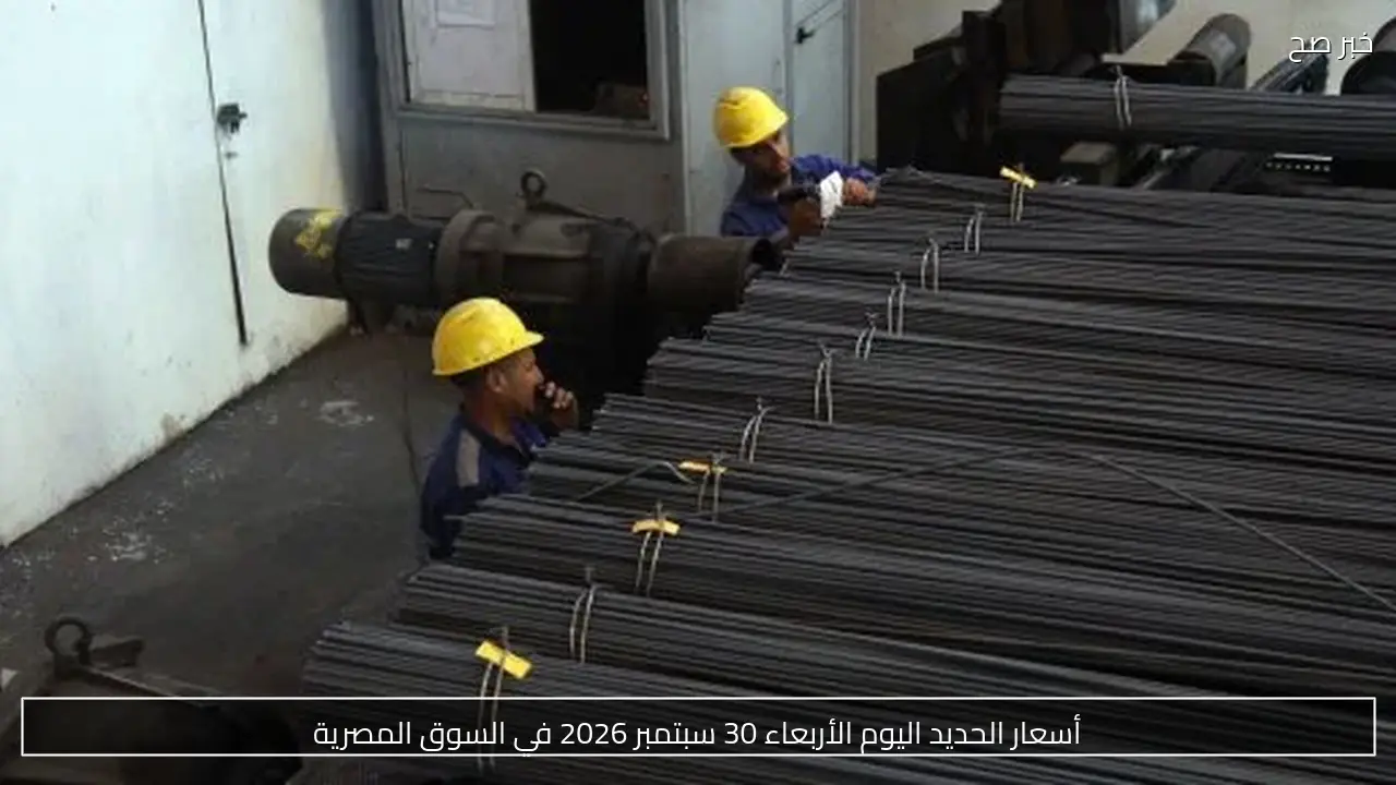 أسعار الحديد اليوم الأربعاء 30 سبتمبر 2026 في السوق المصرية