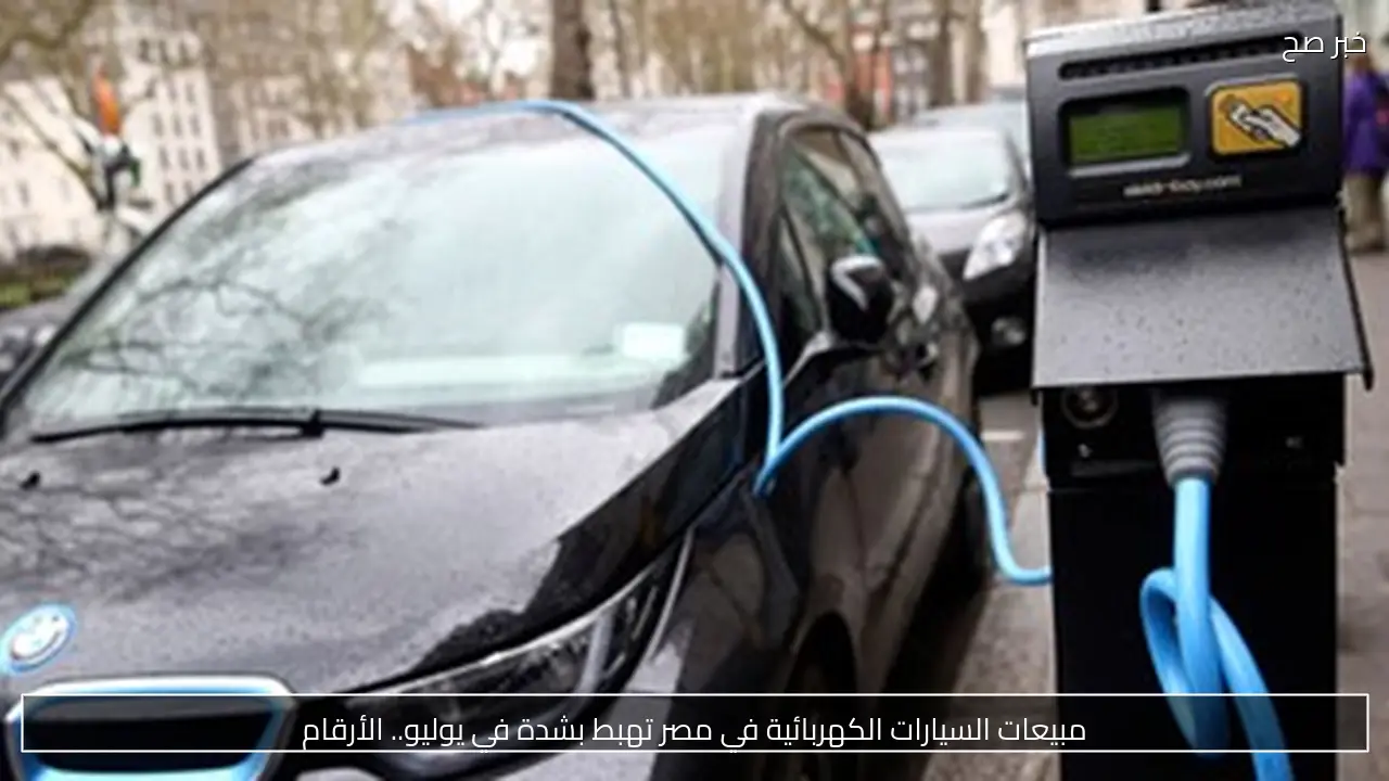 مبيعات السيارات الكهربائية في مصر تهبط بشدة في يوليو.. الأرقام