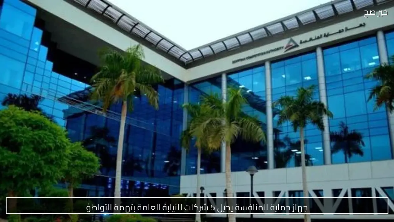 جهاز حماية المنافسة يحيل 5 شركات للنيابة العامة بتهمة التواطؤ
